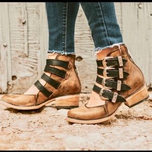 sold: Freebird by Steven Scarlett